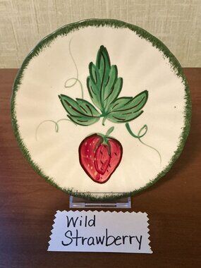 Blue Ridge Southern Pottery Wild Strawberry